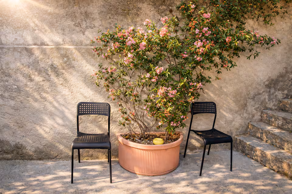 Panorama LakeRelax - Asset