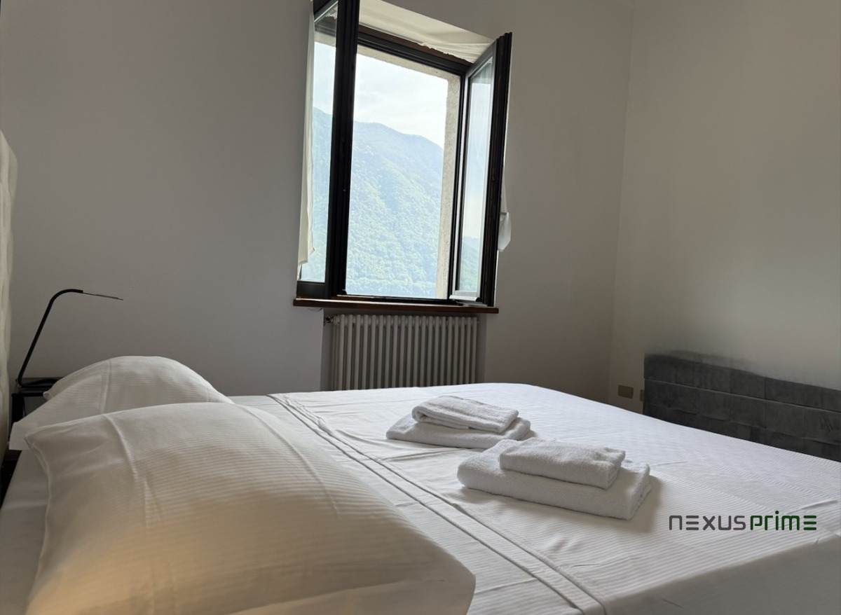 La terrazza con vista panoramica sul lago di  COMO - Asset