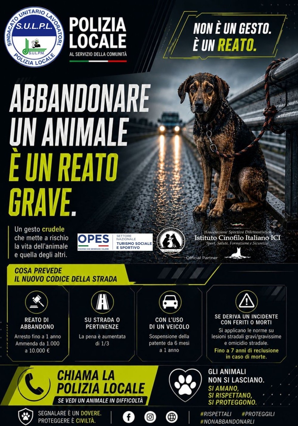 image cover media